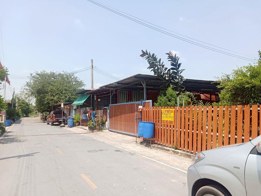 ขายบ้านเดี่ยวชั้นเดียว ซอยสิงห์คู่ บางบัวทอง นนทบุรี 3