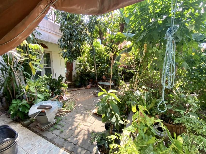 บ้านเดี่ยวหมู่บ้านศิริวรรณชวนชม 2