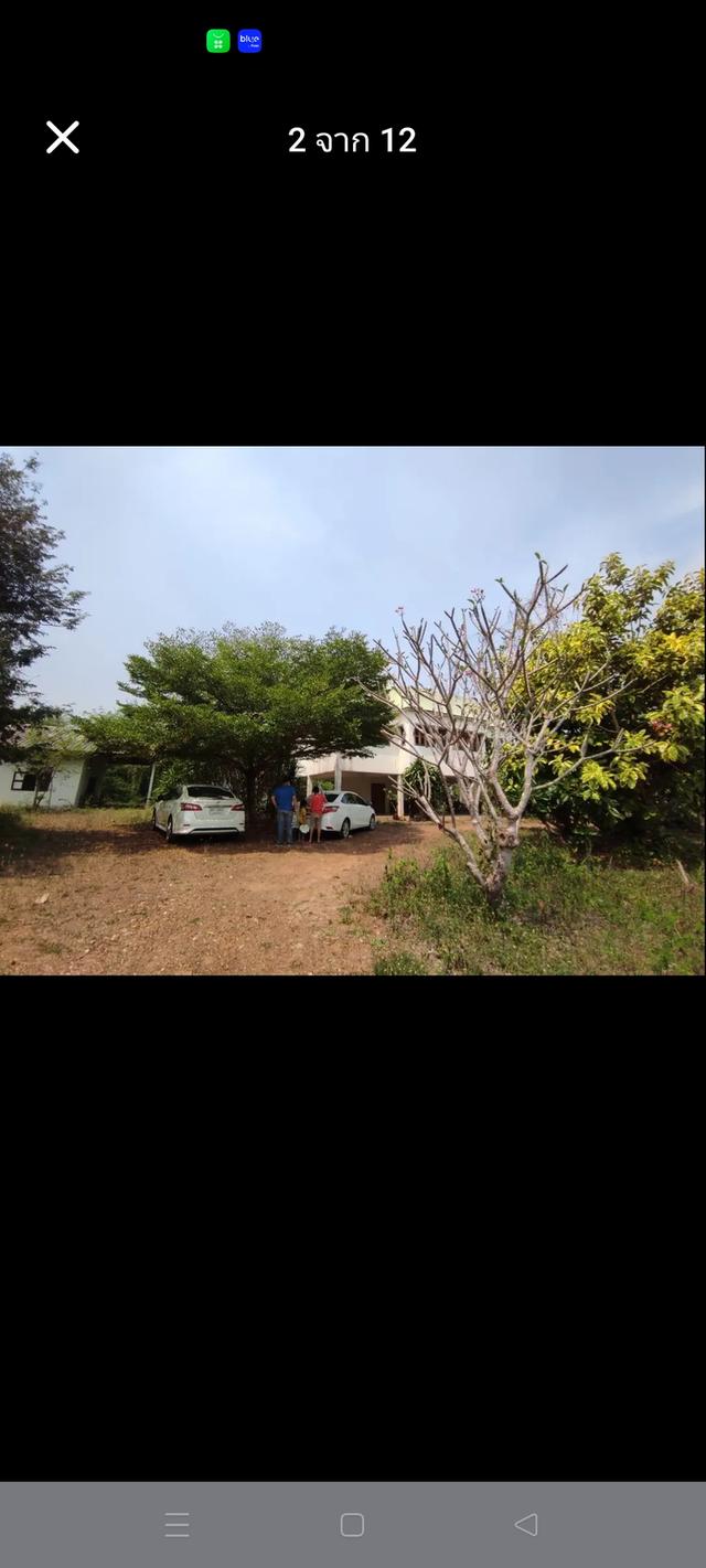 ขายที่ดิน120ไร่ พร้อมบ้าน จอมบึง ราชบุรี 9
