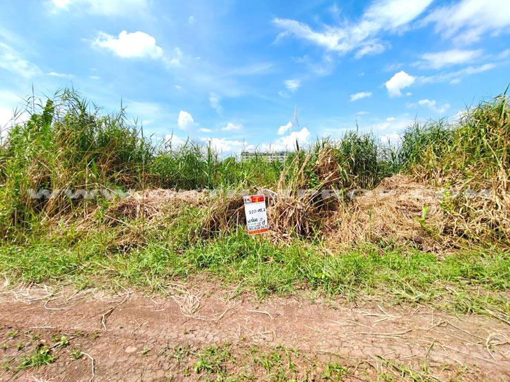 ที่ดินจัดสรรล็อคที่ 9 ถ.346 ต.หน้าไม้ อ.ลาดหลุมแก้ว จ.ปทุมธานี 2