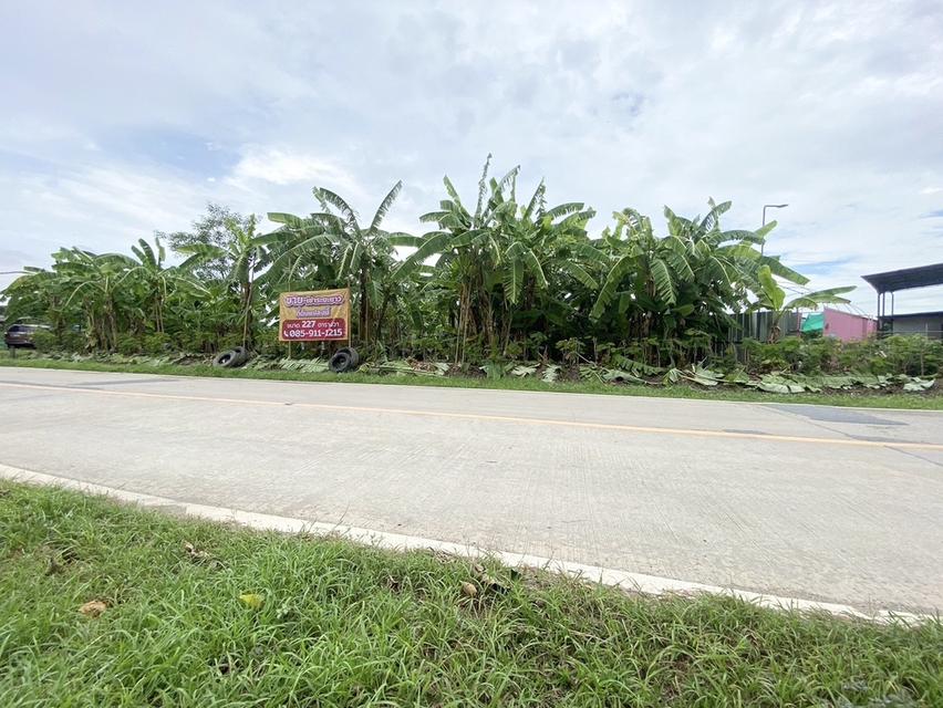 ขายที่ดินแปลงสวย เจ้าของขายเอง 227 ตรว. อ.บางใหญ่ จ.นนทบุรี 3