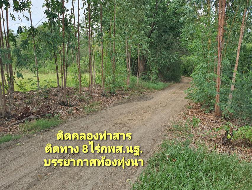 ที่ดินริมน้ำ ติดคลองท่าสารสายหลัก ได้ที่ฟรีอีกจำนวนหนึ่ง ที่สูงน้ำไม่ท่วม  8ไร่ 3
