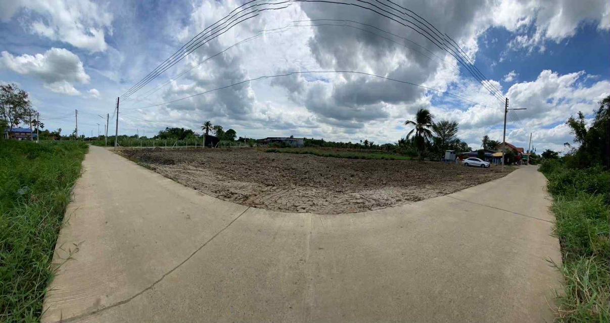 ขายที่ดิน นครชัยศรี ใกล้วัดหลวงพ่อสมหวัง 3