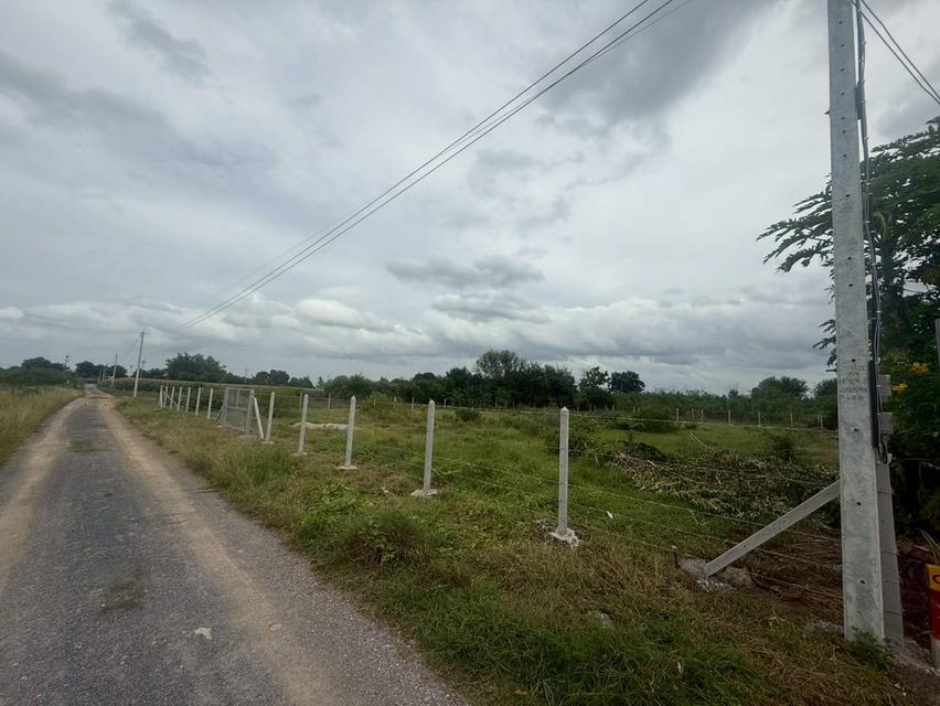 ที่ดินจำนวน 1 ไร่ อู่ทอง สุพรรณบุรี 2