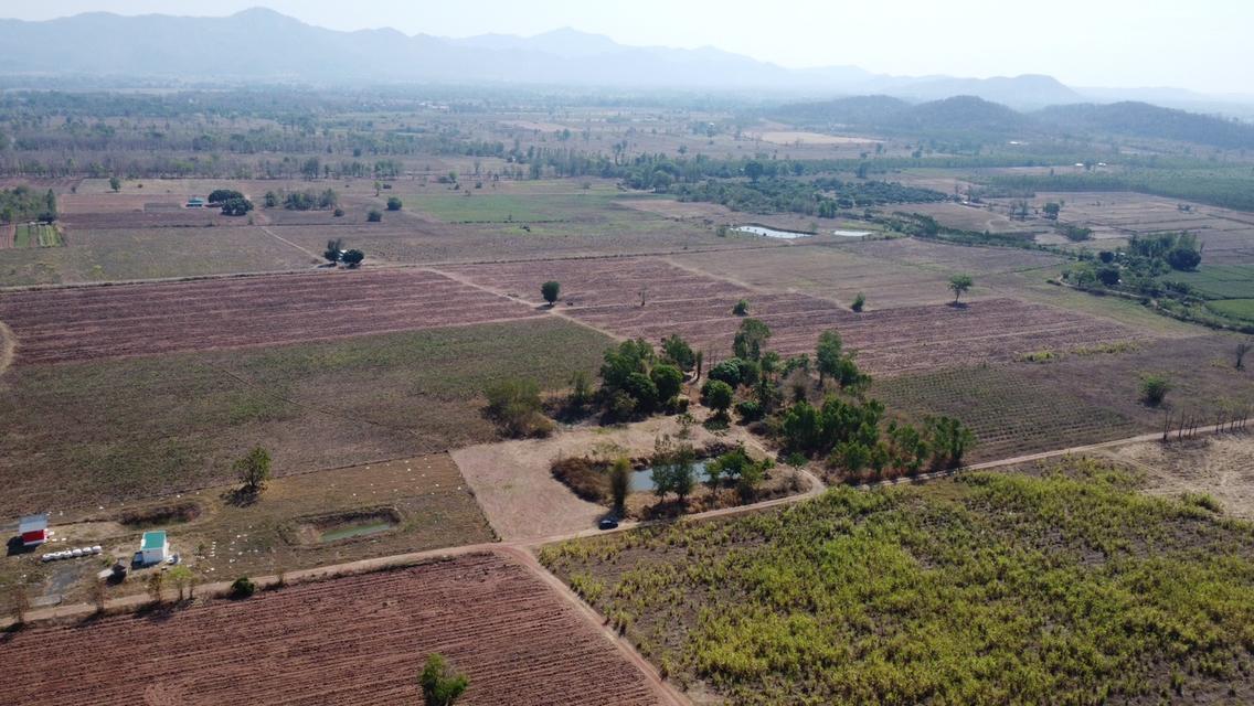 ที่ดิน ชนแดน เพชรบูรณ์ ขนาด 2 ไร่ 50 ตรวา 380,000 บาท  14