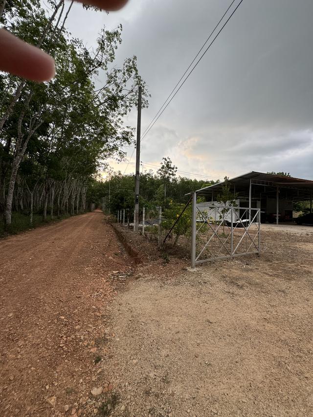 บ้านหลังใหญ่ พร้อมทุเรียน4ปี และสวนยางพารา 6