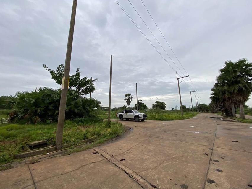 ขายต่ำกว่าประเมินที่ดิน 266 ตรว ติดถนนคอนกรีต ต.บ้านงิ้ว อ.สามโคก จ.ปทุมธานี 7