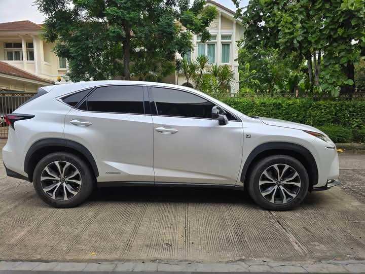 ขายด่วน Lexus NX 300h 3