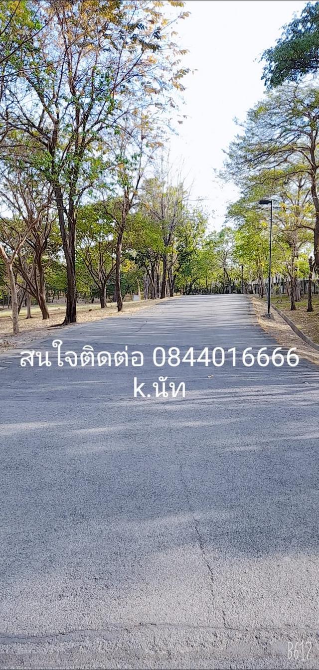 บ้านเดี่ยว 2ชั้น 4นอน 4น้ำ 2จอด 10