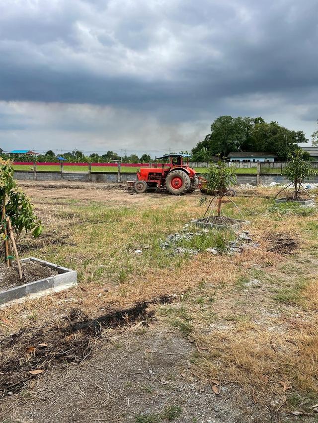 ที่ดินหนองจอก-บางน้ำเปรี้ยว 6