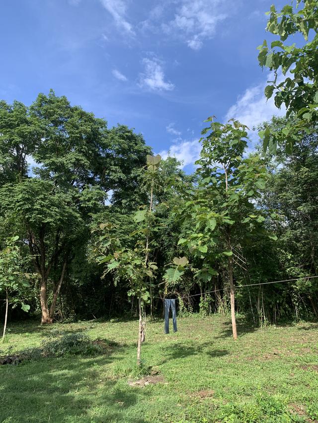 ที่ดิน 9 ไร่ 1 งาน 7 ตรว 3