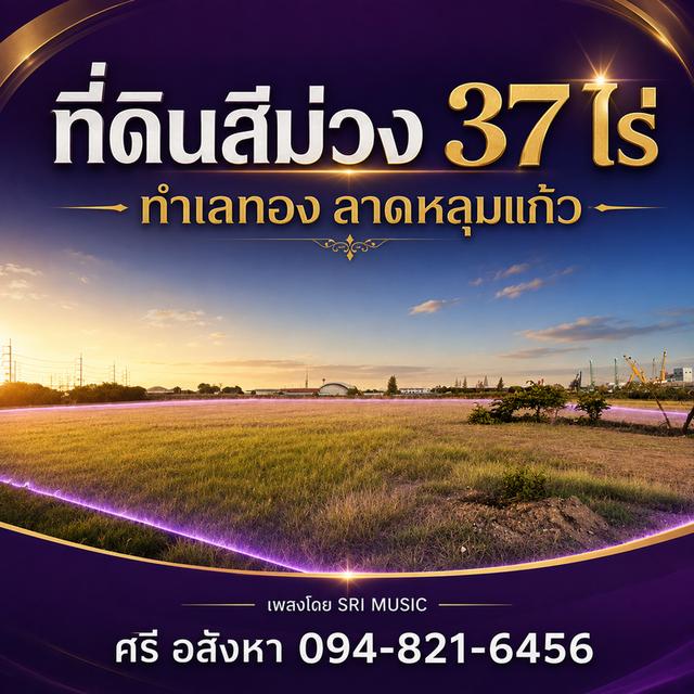 ขายที่ดินสีม่วง เนื้อที่ 37 ไร่ ทำเลเด่นติดถนนหมายเลข 346 ปทุมธานี–ลาดหลุมแก้ว ต.คูขวาง อ.ลาดหลุมแก้ว จ.ปทุมธานี 1