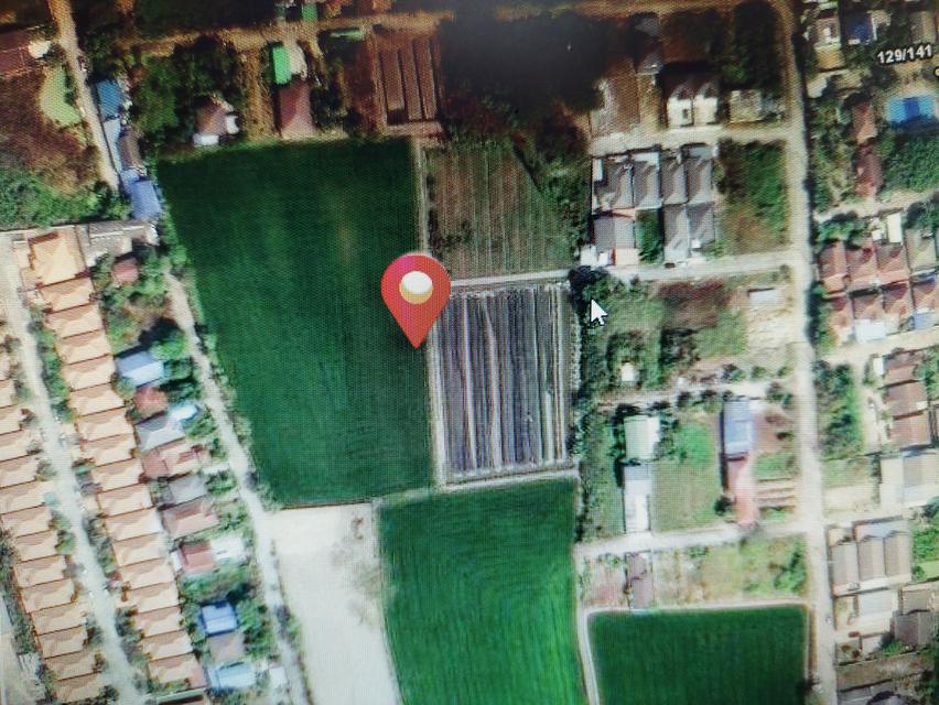 ที่ดิน ที่นา ติดถนน 24 ไร่ 84ล้านบาท ติดต่อ 0830310515 8