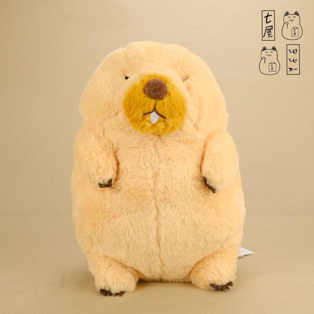 ตุ๊กตา หนูอ้วน มาร์มอท โบบะคุง 🦦 BOBA-KUN ・AMUSE・AMUFUN・Marmot MOTTOTO more! ~ Jumbo・M Size・Plush ~ 30 cm 🤎
