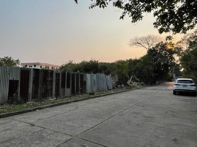 ขายที่ดินเปล่า ขนาดเนื้อที่ 296 ตารางวา ซอยศรีนครินทร์ 55 ทำเลหลังห้างพาราไดซ์พาร์ค 6