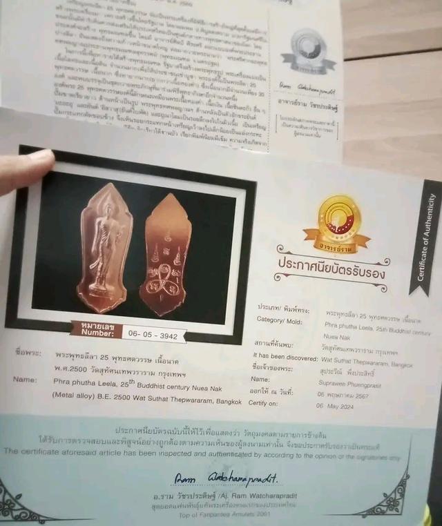 พระ๒๕พุทธศตวรรษ เนื้อนาค 9