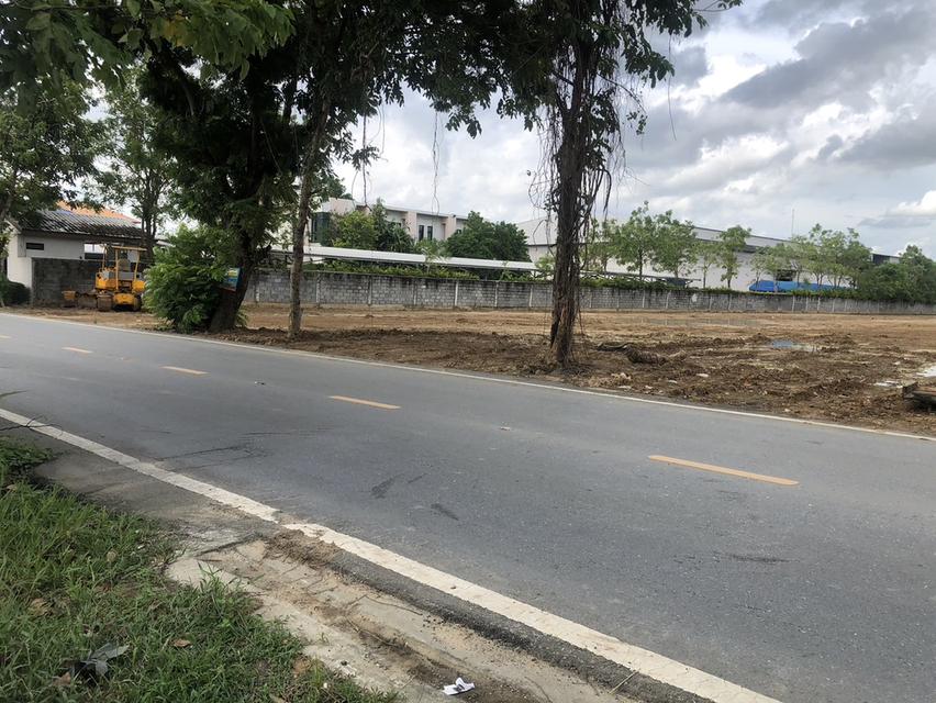 ขายที่ดินถมแล้ว 8-1-73 ไร่  6