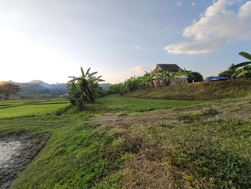 บ้านพร้อมที่ดิน ลำปาง 13