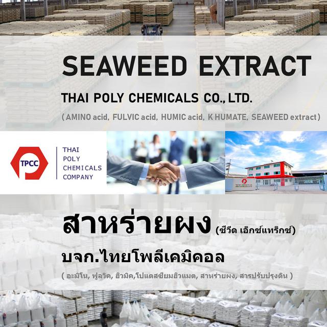 ซีวีดเอ็กซ์แทร็กซ์, Seaweed extract powder, สารสกัดสาหร่ายทะเล, ผงสาหร่ายสกัด, ปุ๋ยสาหร่ายผง, Seaweed Fertilizer