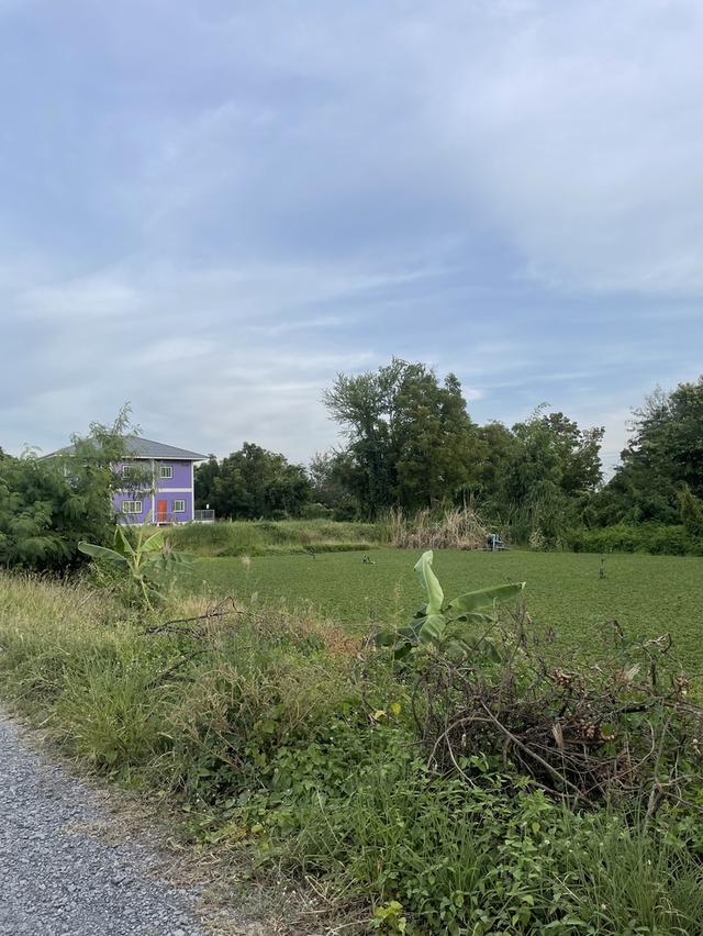 ขายที่ดิน มีนบุรี ร่มเกล้า ซอยบึงขวาง14 3