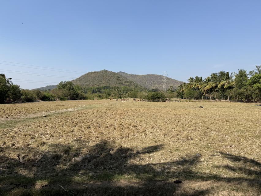 ขายที่ดินแปลงนี้ 16ไร่1งาน76ตรว ต.หนองตาแต้ม อ.ปราณบุรี จ.ประจวบคีรีขันธ์ ที่ดินติดถนน ติดภูเขา 4