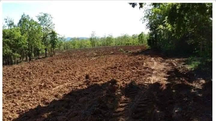 ที่รอออกเอกสารสิทธิ์15ไร่ ยกแปลง800,000วิวเขาติดถนนสาธารณะ รถเก๋งขับเข้าถึงที่ได้เลย ลักษณะที่เป็นเนินสโลบสวยมากค่ะ ติดกับวัดป่านิสโภ(มีลำห้วยกั้น) ห่ 6