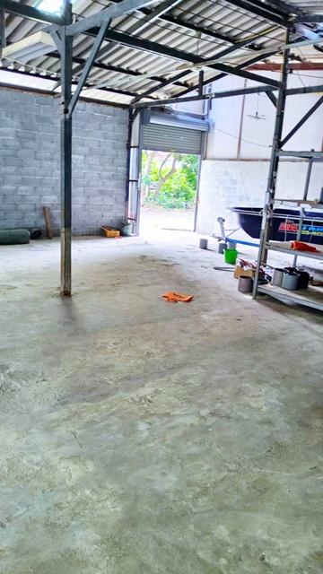 เดอะมอลล์ บางแค 1.9 กม. ถ.บางแวก MRT บางแค 1.2กม. ให้เช่าโกดัง 305ตร.ม.พร้อมออฟฟิศ และห้องพักพนักงาน 78ตร.วา. .เพชรเกษม6 6