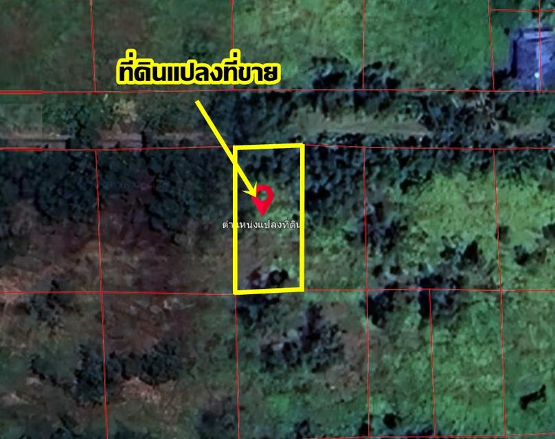 ขายที่ดิน 97 ตารางวา ซอยศาลาครุ54 คลอง12 หนองเสือ 4