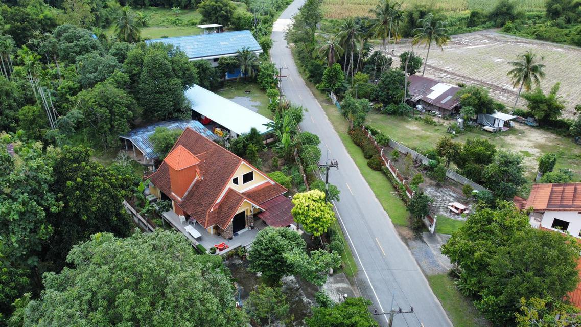 รูป บ้านพร้อมที่ดิน 6