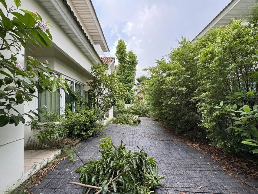 +ขายบ้านเดี่ยวมือสอง โครงการ เพอร์เฟคเพลส 1 ราชพฤกษ์ (Perfect Place Ratchapruk) เนื้อที่ 59.5 ตร.ว. ใกล้รถไฟฟ้าสายสีม่วงสถานีบางรักน้อยท่าอิฐ 3