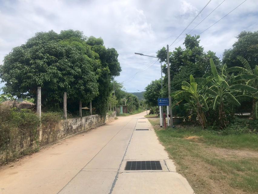 🔥 ที่ดินแปลงสวย บางเสร่ 3 ไร่ 45 ตร.ว. ทำเลศักยภาพ เหมาะพัฒนาพูลวิลล่าและโครงการลงทุน Tel. 083 612 9880 3
