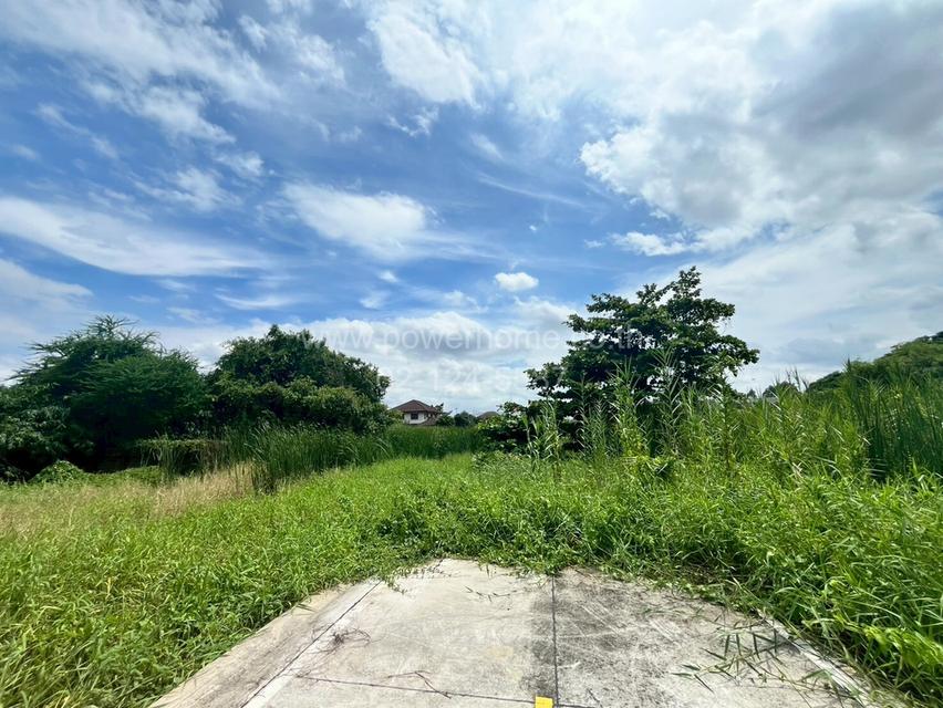 ที่ดินเปล่า ซอยวัดลาดปลาดุก ถนนกาญจนาภิเษก ต.บางไผ่ อ.บางบัวทอง จ.นนทบุรี 6