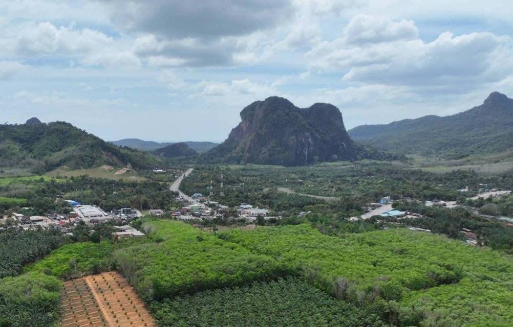 🏞️ ขายที่ดินแปลงสวย ราคาคุ้มค่า – เหลือเพียง 1 แปลงสุดท้าย!🥚ขนาด: 1 ไร่ 10 ตร.ว🏡ราคาเพียง 2,500,000 บาท 📍เอกสารสิทธิ์ โฉนดครุฑแดง 4