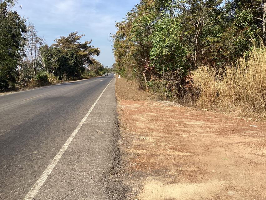 ขายที่ดิน83ไร่ในนครพนหน้าติดถนนหลักกำลังขยายเป็น4เลน 2