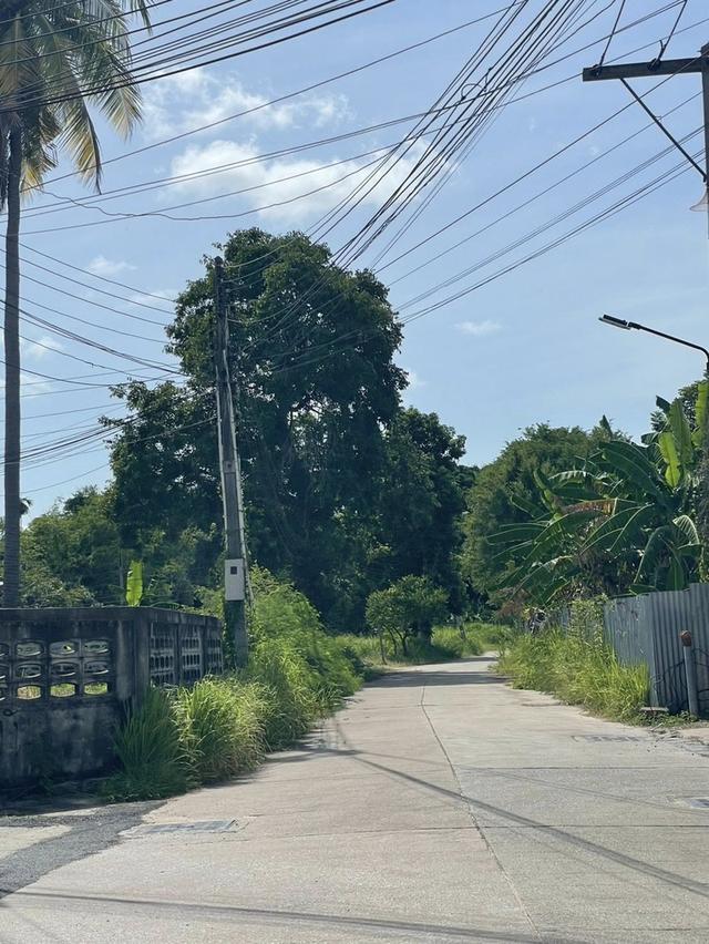 ขายที่ดินฝั่งทะเลนาเกลือ 150 ตรว. แปลงหัวมุมติดถ.ซอยสุขุมวิทพัทยา29ใกล้หาดวงศ์อมาตย์-5กม. บางละมุง ชลบุรี