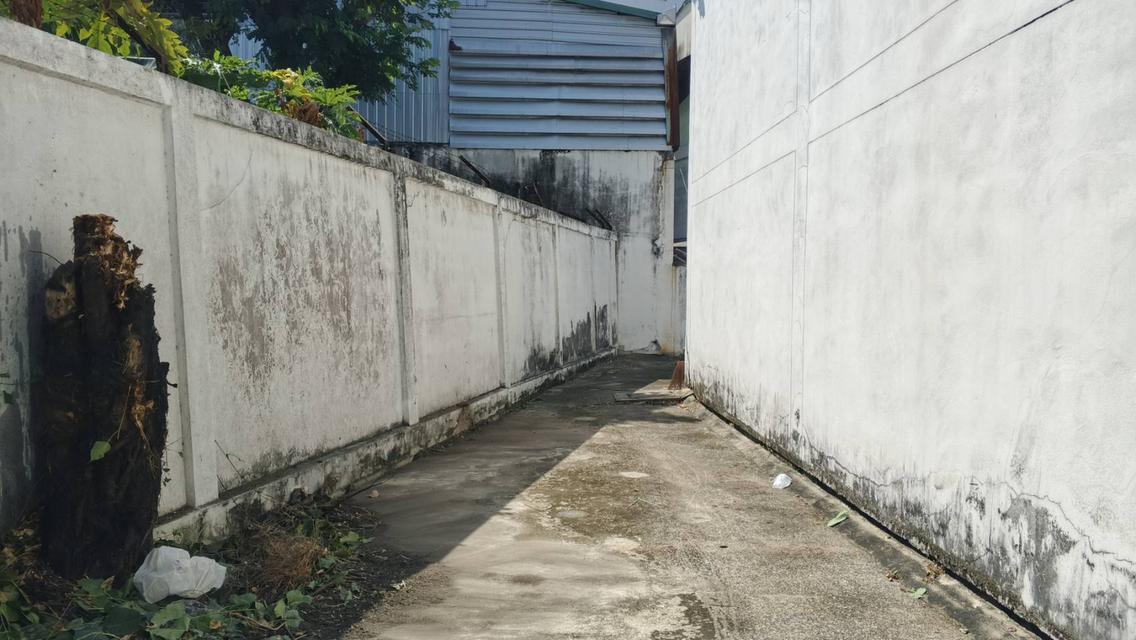 📢 เจ้าของขายเอง | ที่ดินพร้อมโกดัง พระประแดง ทำเลดีมาก 14