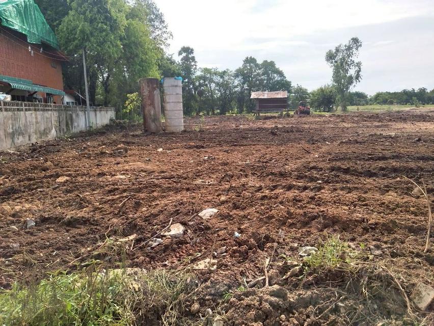 ด่วน! ที่ดิน ทำเลดีติดถนน ย่าน ต.ดอนทอง จ.พิษณุโลก 3