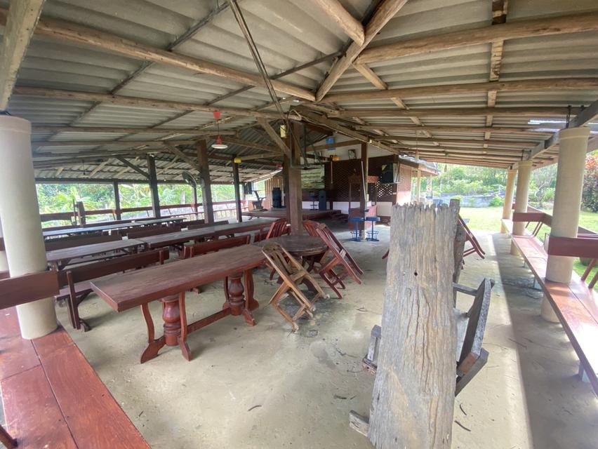 ไร่ชมจันทร์ วังน้ำเขียว 14ไร่ 5