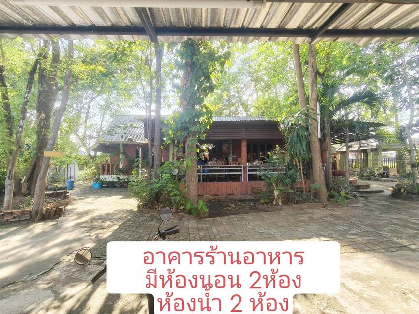 ที่ดินพร้อมสิ่งปลูกสร้างพอพัก ค้านอาหารบ้านพัก อ.เมืองจ.พะเยา 3