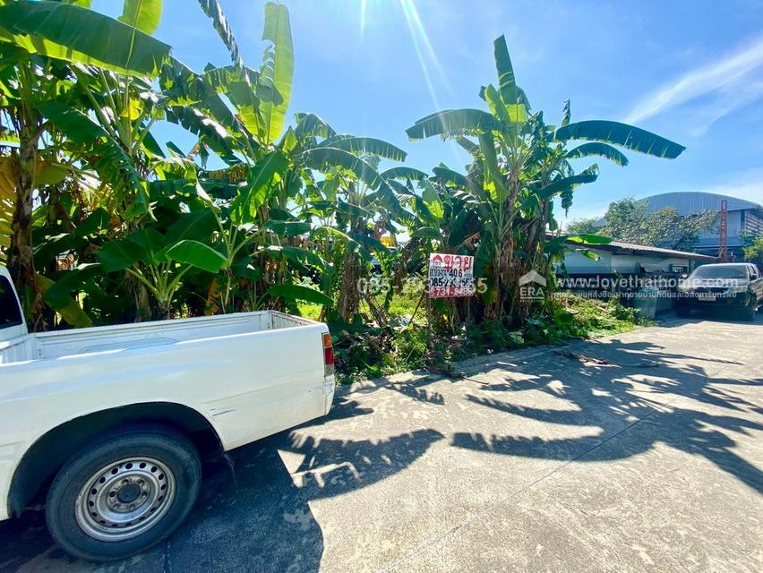 ขายที่ดิน ถนนสุขาภิบาล5 ซอย34 สายไหม แปลงสวย พื้นที่ 40.6 ตารางวา เข้าซอยเพียง 300 เมตร ใกล้จุดขึ้น-ลงทางด่วนสุขาภิบาล5 7