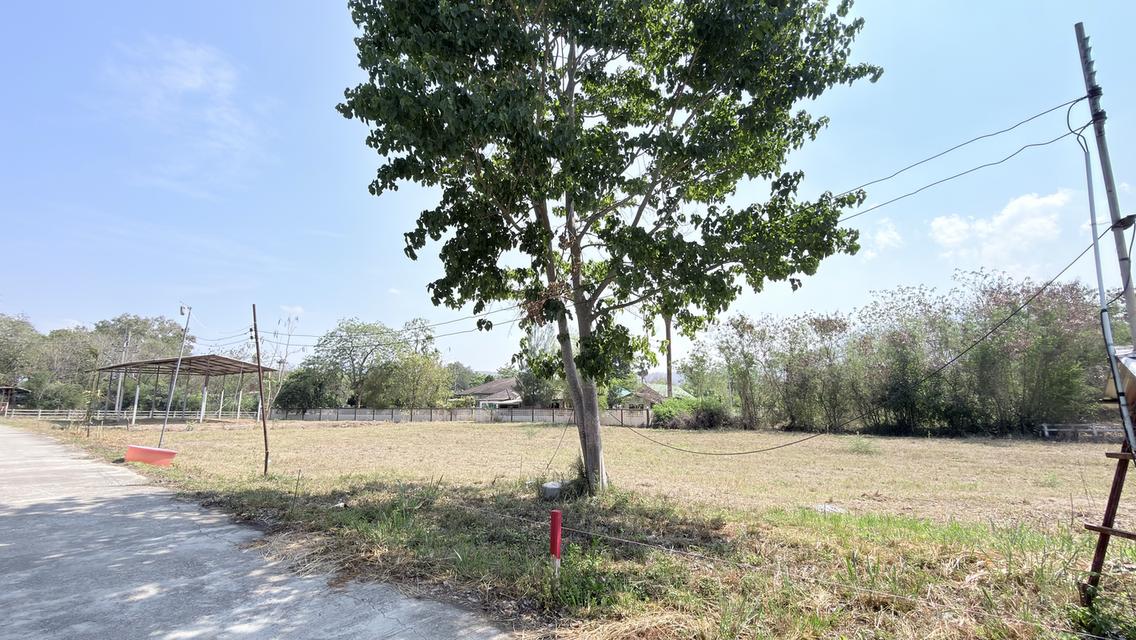 ที่ดิน มวกเหล็ก-เขาใหญ่ 5