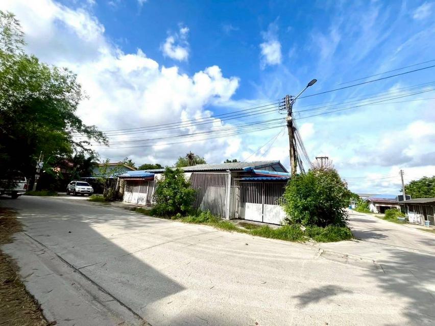 ขายที่ดินพร้อมบ้านและห้องแถว 9