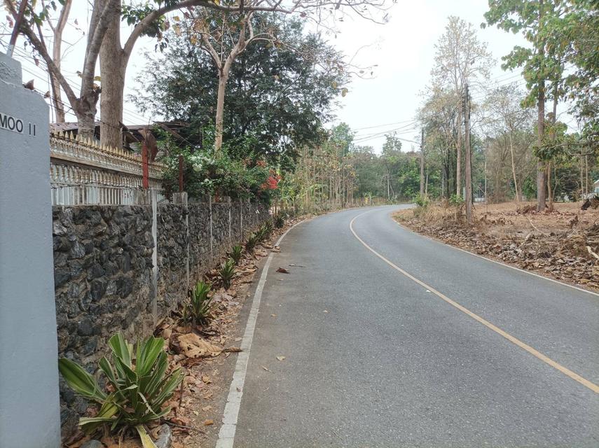 ขายที่ดินพร้อมสิ่งปลูกสร้าง ต.เชิงดอย อ.ดอยสะเก็ด จ.เชียงใหม่ 11