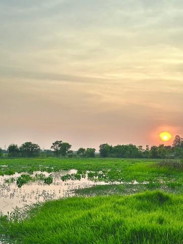 ขายที่ดินแบ่งแปลง ต.แหลมประดู่ อ.บ้านโพธิ์ จ.ฉะเชิงเทรา Laem Pradu Ban Pho เนื้อที่ 100 ตร.วา ใกล้แหล่งชุมชน บรรยากาศดี 4