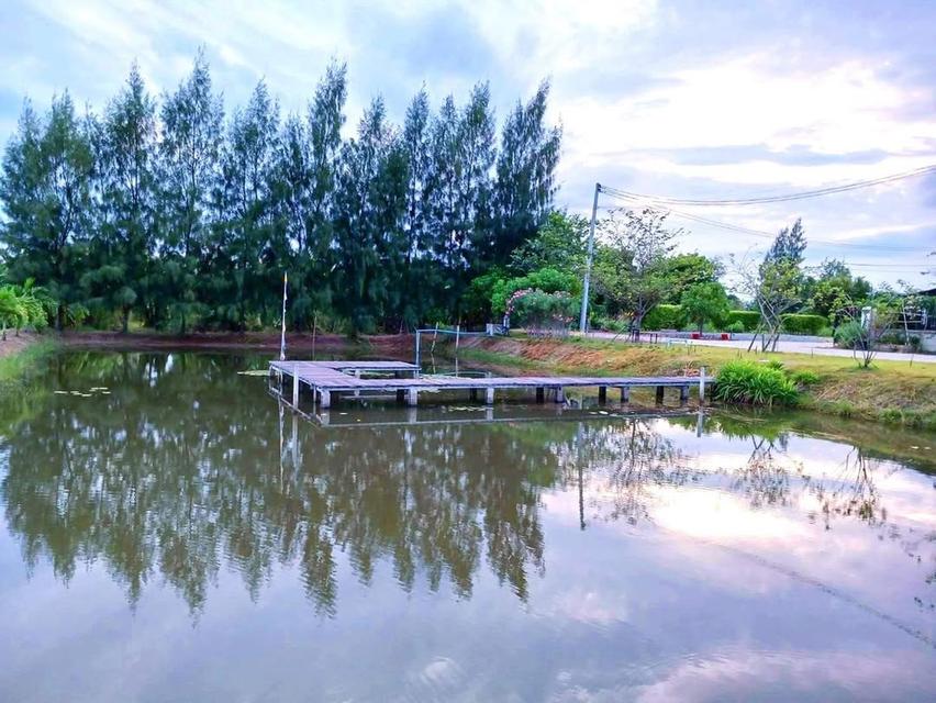 บ้านเดี่ยวศาลายา-คลองโยง(บ้านใหม่) 13