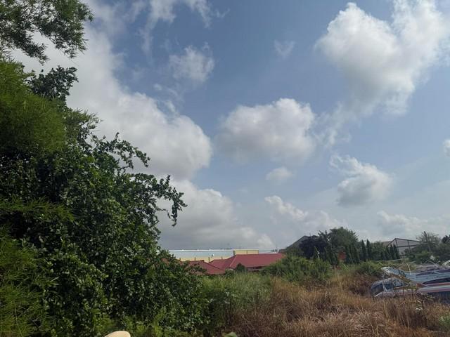 ขายที่ดินทำเลดีหนองปรือ พัทยา 392 ตรว. บ้านล่าง5ซอยพรประภานิมิตร18/1 อ.บางละมุง ชลบุรี