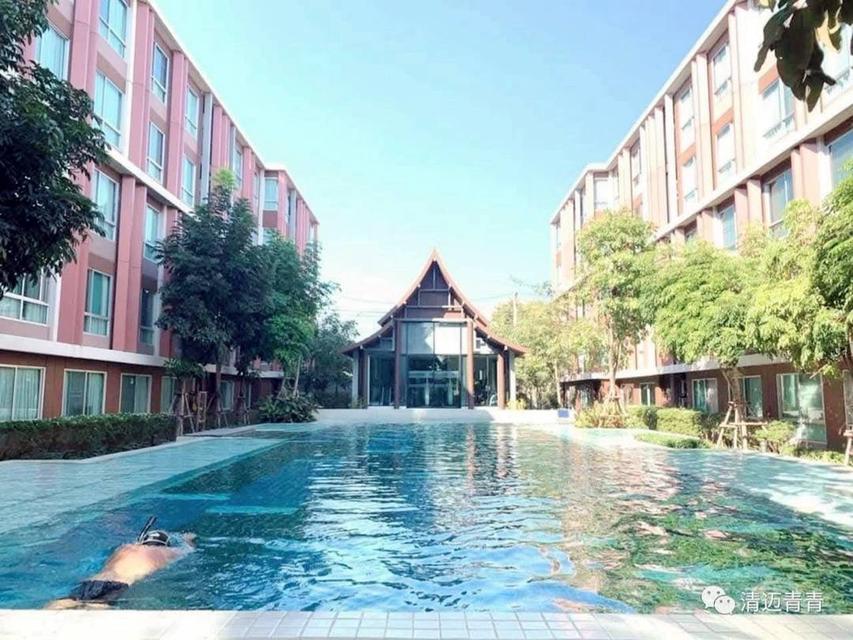 P55 ให้เช่าคอนโด D Vieng Santitham เชียงใหม่ 1