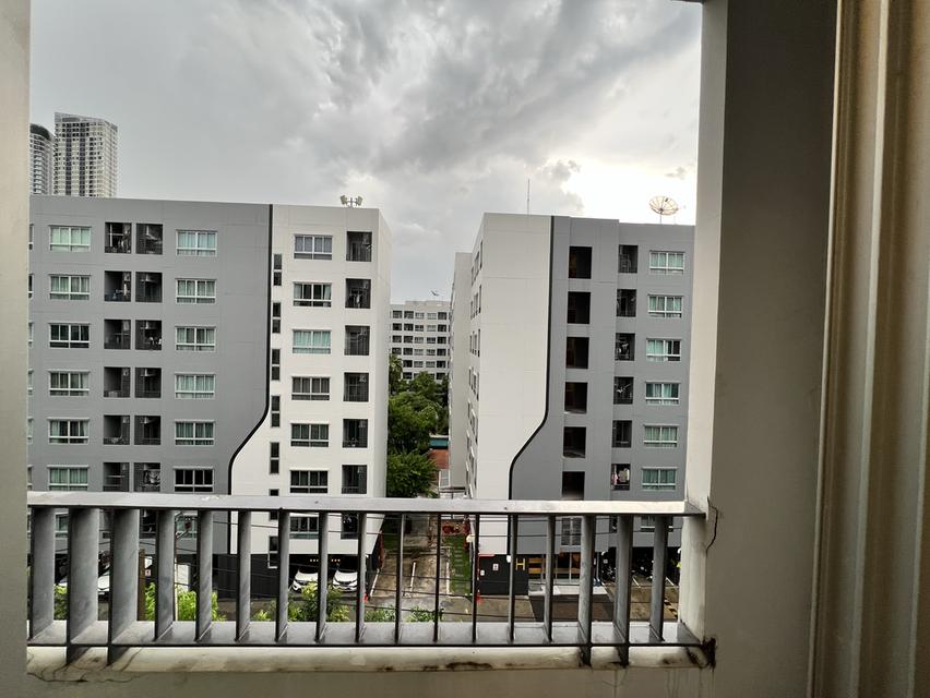 คอนโด elio sukumvit 64 13