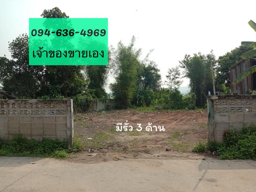 ที่ดินเปล่า เวียงชัย 1 งาน 16 วา เจ้าของขายเอง 1