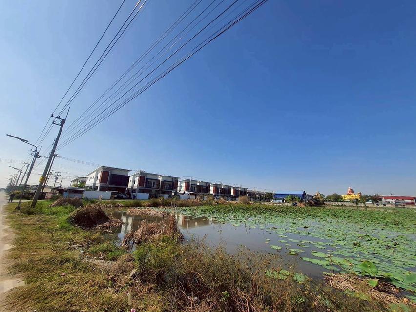 Vายที่ดินซอยวัดป่าห้าพระองค์ 200 ตารางวา แปลงมุม ติดถนนคลองเเอนคลองสาม 5/4-1 อ.คลองหลวง จ.ปทุมธานี 4